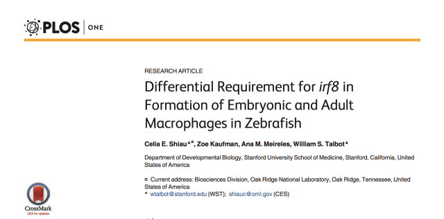 Screen Shot 2016-02-06 at 7.28.07 PM