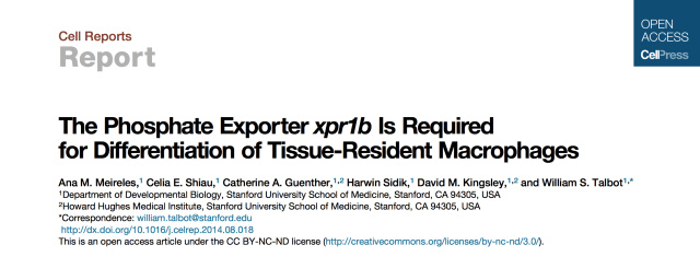 Screen Shot 2016-02-06 at 7.30.29 PM