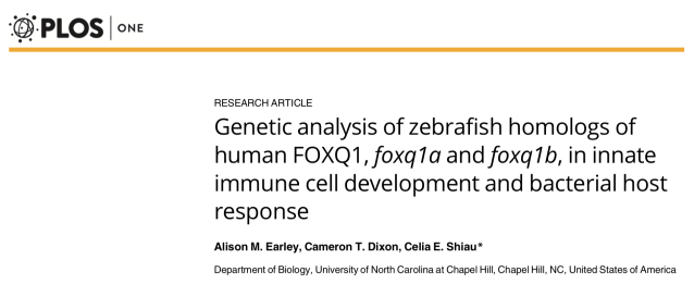 Screen Shot 2018-09-11 at 1.50.34 PM