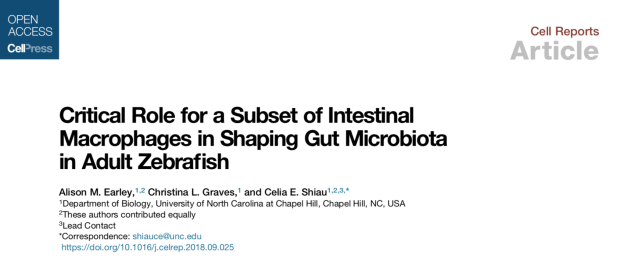 Screen Shot 2018-10-09 at 11.23.12 AM.png