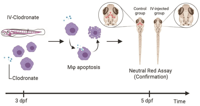 Screen Shot 2021-03-26 at 8.53.23 PM